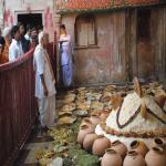 Vraj-Yatra-2014- (1211)